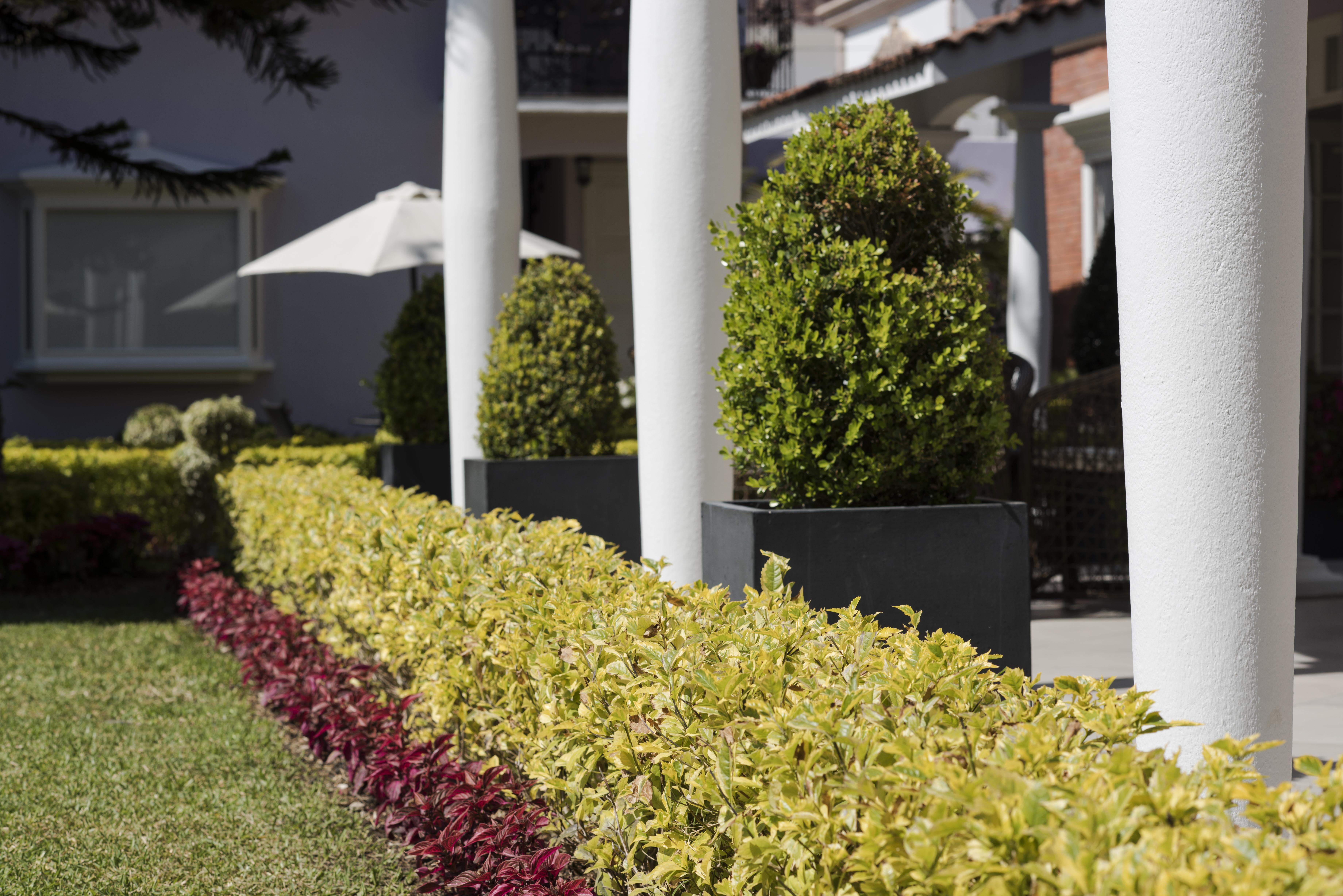 Casa Bonita Hotel & Cocina Oaxaca Екстер'єр фото
